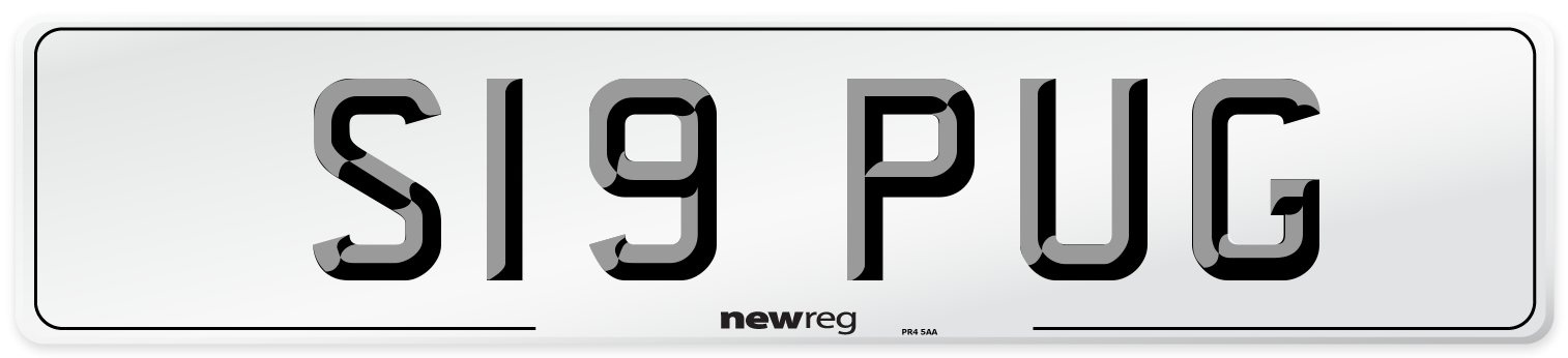 S19 PUG Number Plate from New Reg